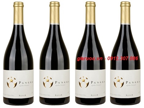 PHÂN PHỐI, BÁN BUÔN VANG CHILE PANGEA SYRAH GIÁ TỐT NHẤT - GIARUOU.VN