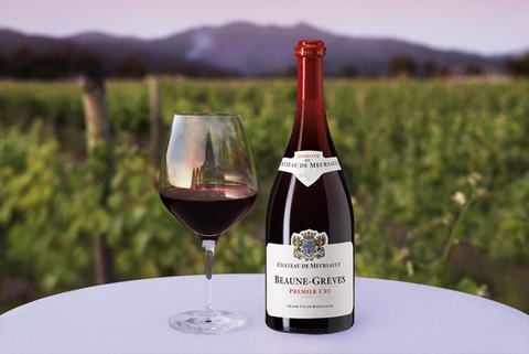 Pinot Noir, Merlot, Cabernet Sauvignon - 3 loại vang đỏ này có gì đặc biệt?