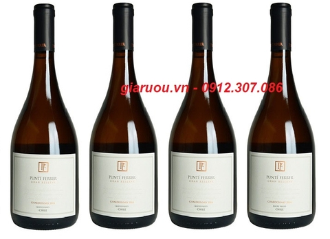 VANG CHILE PUNTI FERRER GRAN RESERVA CHARDONNAY ƯU ĐÃI GIÁ RẺ NHẤT