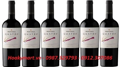 TỔNG ĐẠI LÝ VANG CHILE MONTGRAS QUATRO TẠI HÀ NỘI