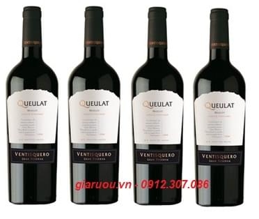 VANG CHILE VENTISQUERO QUEULAT MERLOT BÁN RẺ NHẤT