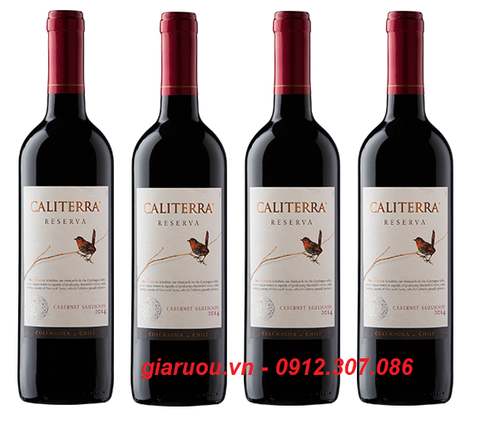 ĐỊA CHỈ BÁN VANG CHILE CALITERRA RESERVA CABERNET SAUVIGNON GIÁ RẺ NHẤT