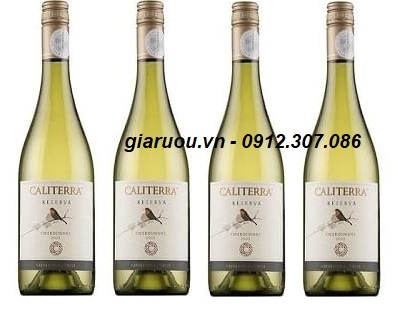 CUNG CẤP VANG CHILE CALITERRA RESERVA CHARDONNAY UY TÍN GIÁ RẺ