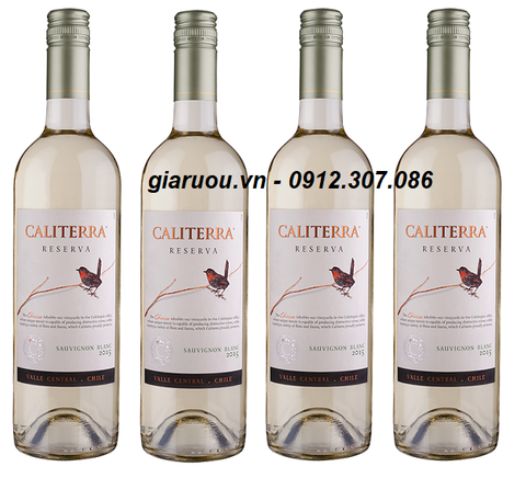 VANG CHILE CALITERRA RESERVA SAUVIGNON BLANC - HÀNG CHUẨN GIÁ CỰC TỐT