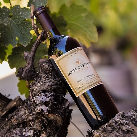 4 loại rượu vang Chile ngon phù hợp làm quà Tết