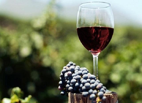 Cần chú ý những gì khi lựa chọn rượu vang Úc