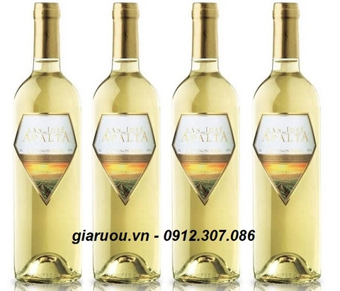 CUNG CẤP VANG CHILE SAN JOSE APALTA TRANDITION SAUVIGNON BLANC