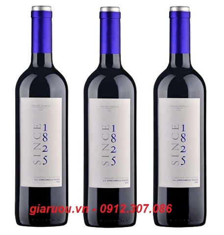 NHÀ PHÂN PHỐI VANG CHILE SINCE 1825 CABERNET SAUVIGNON UY TÍN GIÁ RẺ