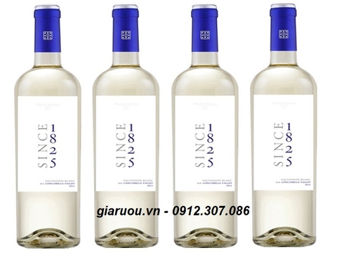 VANG CHILE SINCE 1825 SAUVIGNON BLANC - HÀNG CHUẨN, GIÁ CỰC TỐT