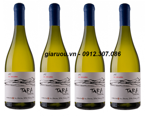 NƠI BÁN VANG CHILE TARA ATACAMA CHARDONNAY CHÍNH HÃNG GIÁ TỐT NHẤT