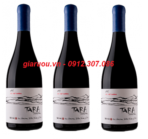 ĐỊA CHỈ BÁN VANG CHILE TARA ATACAMA PINOT NOIR GIÁ RẺ NHẤT