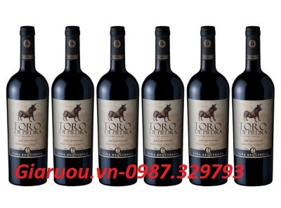 HẦM RƯỢU MUA LOẠI RƯỢU VANG CHILE NÀO NGON ĐỂ ĐƯỢC LÂU