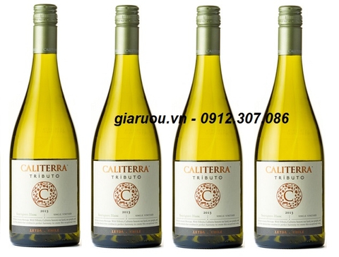 VANG CHILE CALITERRA TRIBUTO SAUVIGNON BLANC GIÁ RẺ NHẤT