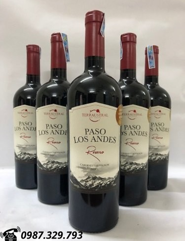 VANG CHILE PASO LOS ANDES GIÁ TỐT NHẤT MUA Ở ĐÂU?