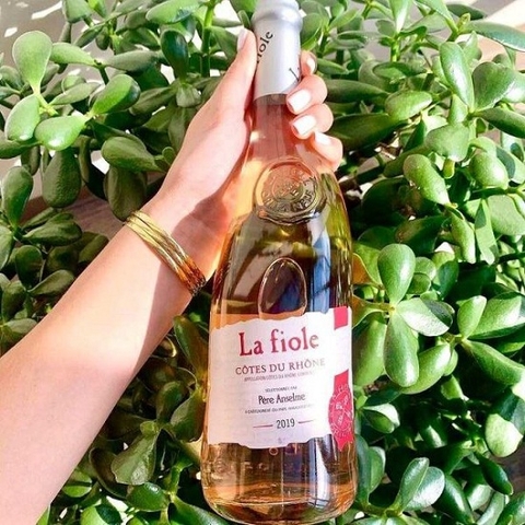 4 chai rượu vang hồng ngon cho người mới