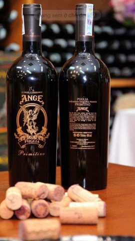 3 chai rượu vang Ý ngon nên mua tại Giaruou