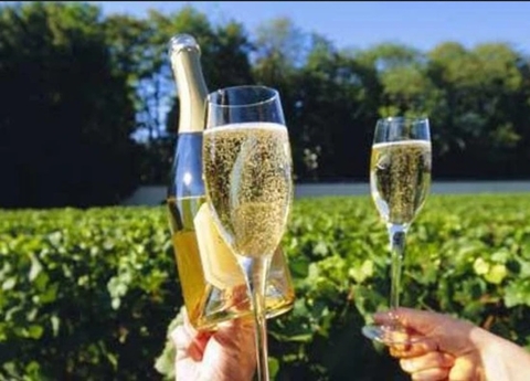 4 loại rượu vang cơ bản nhất hiện nay