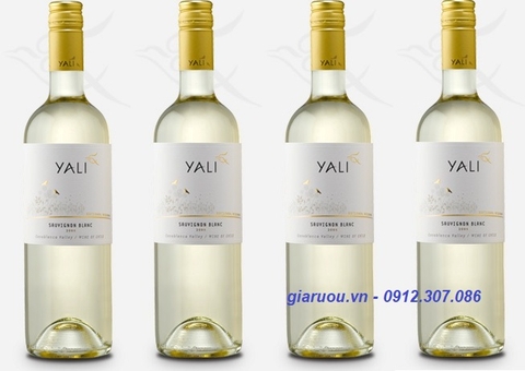 TỔNG ĐẠI LÝ VANG CHILE YALI RESERVA SAUVIGNON BLANC