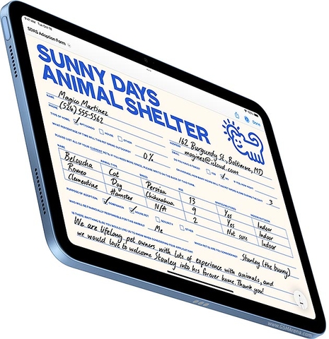 Apple iPad Gen 11 10.9 (2025)