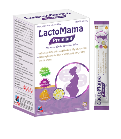 Thực phẩm bảo vệ sức khỏe LactoMama Premium