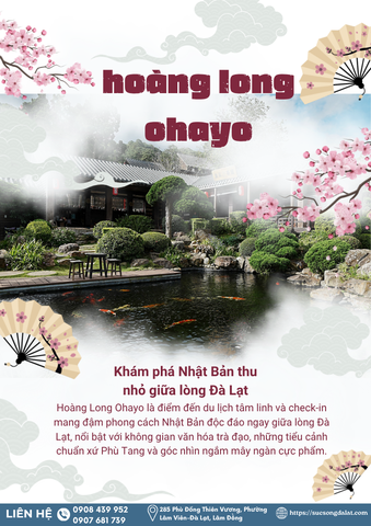 VÉ THAM QUAN HOÀNG LONG OHAYO