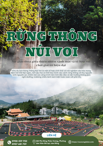 VÉ THAM QUAN TỔ HỢP VUI CHƠI GIẢI TRÍ RỪNG THÔNG NÚI VOI