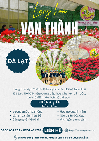 VÉ THAM QUAN LÀNG HOA VẠN THÀNH