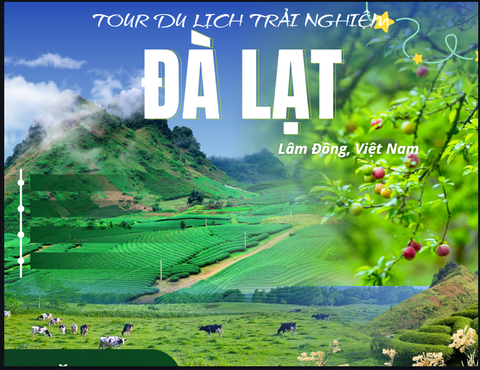 biển và hoa