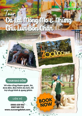 TOUR ĐÀ LẠT MỘNG MƠ VÀ NHỮNG CHÚ LÙN BỐN CHÂN | TOUR 1 NGÀY