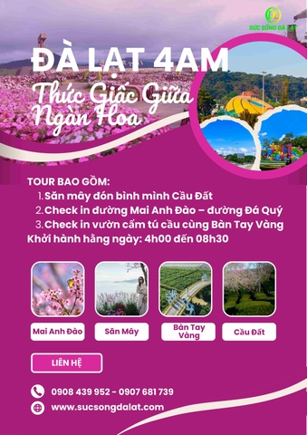 TOUR ĐÀ LẠT 4:00 AM - THỨC GIẤC GIỮA NGÀN HOA