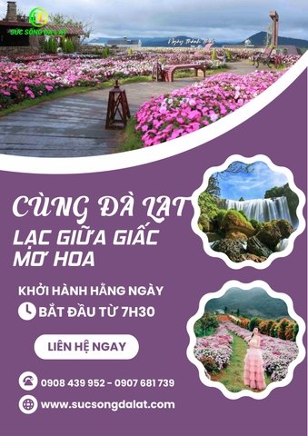 LẠC GIỮA GIẤC MƠ HOA | TOUR 1 NGÀY
