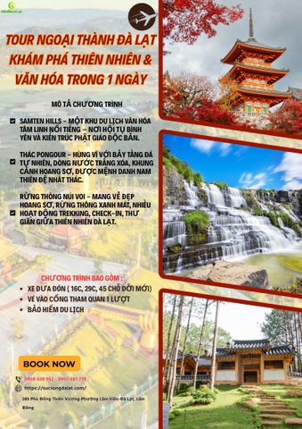 Tour Ngoại Thành Đà Lạt | Khám Phá Thiên Nhiên & Văn Hóa Trong 1 Ngày