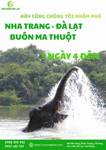 NHA TRANG - ĐÀ LẠT - BUÔN MÊ: BẢNG GIAO HƯỞNG BIỂN - RỪNG - CÀ PHÊ | TOUR 5 NGÀY 4 ĐÊM