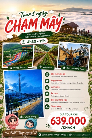 Tour 1 Ngày Chạm Mây