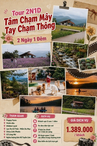 Tour 2N1D Tâm Chạm Mây Tay Chạm Thông