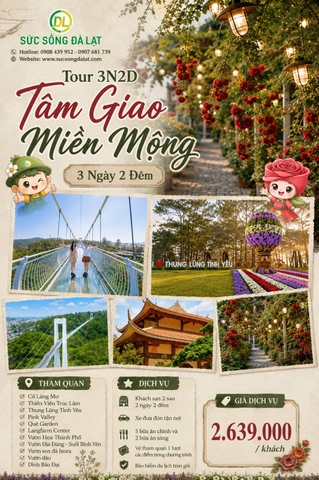 Tour 3N2D Tâm Giao Miền Mộng