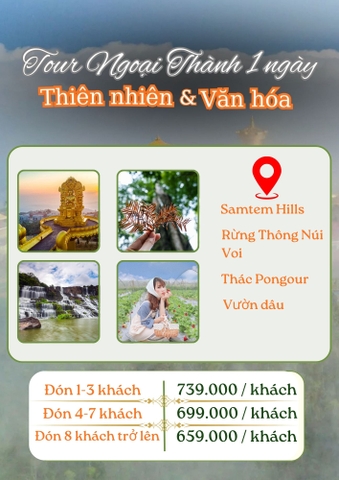 Tour Ngoại Thành Đà Lạt | Khám Phá Thiên Nhiên & Văn Hóa Trong 1 Ngày
