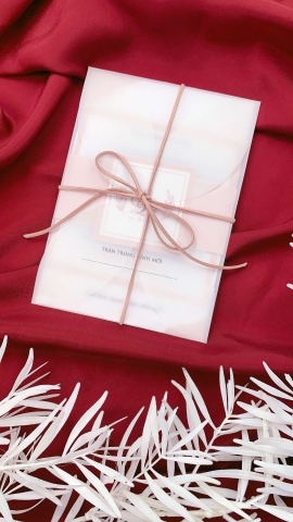 PB dạng bao can trong theo ý tưởng