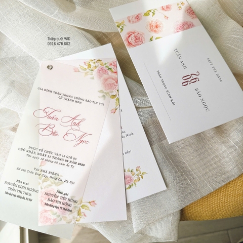 3 lá 492 - Thiệp hoa hồng hiện đại, tươi tắn