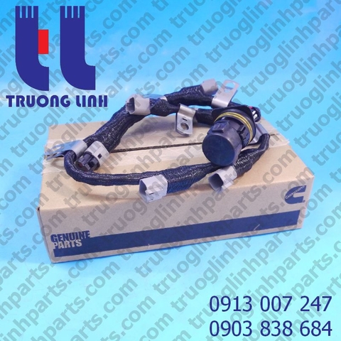 Bộ dây điện kim phun Cummins 2864516