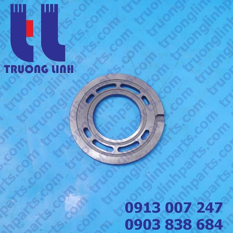 Mặt chà bơm PV21