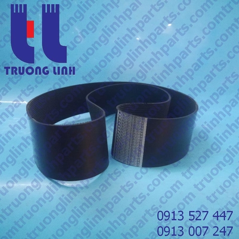 dây đai cummins 3003341