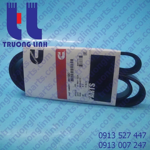 dây đai cummins 3911587
