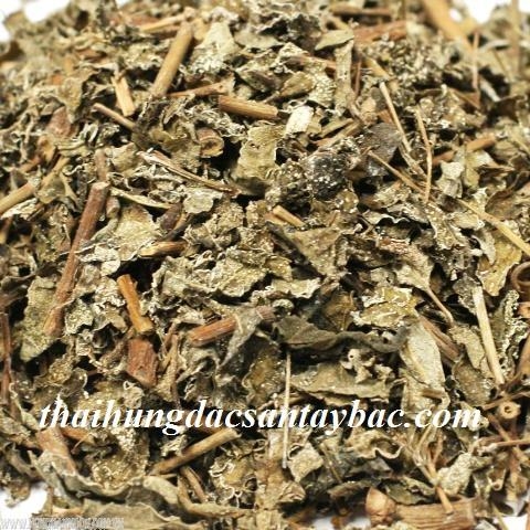 ChÃ¨ dÃ¢y ÄiÃªÌ£n BiÃªn./Kg