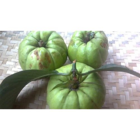 Quáº£ Tai chua  khÃ´ TÃ¢y báº¯c./Kg