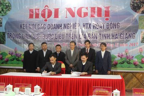 NHÀ THUỐC THÁI DƯƠNG ĐỒNG HÀNH CÙNG TOP 50 QUYỀN NĂNG PHÁI ĐẸP 2017
