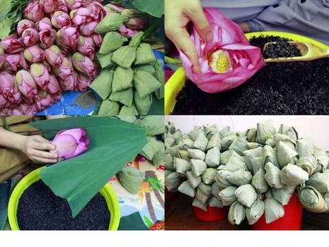 11 lợi ích của trà sen Tây Hồ đối với sắc đẹp, tinh thần của người phụ nữ