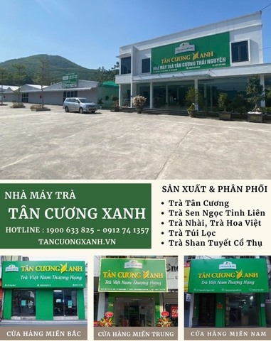 Vì sao uống trà lại bị mất ngủ? Bí quyết về cách uống trà không mất ngủ?