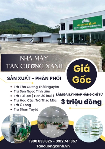 Bảng Giá Chè Thái Nguyên Tết Giáp Thân 2024