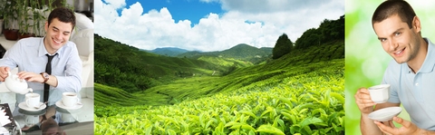 Chè thái nguyên làm giảm tác hại của thuốc lá như thế nào?